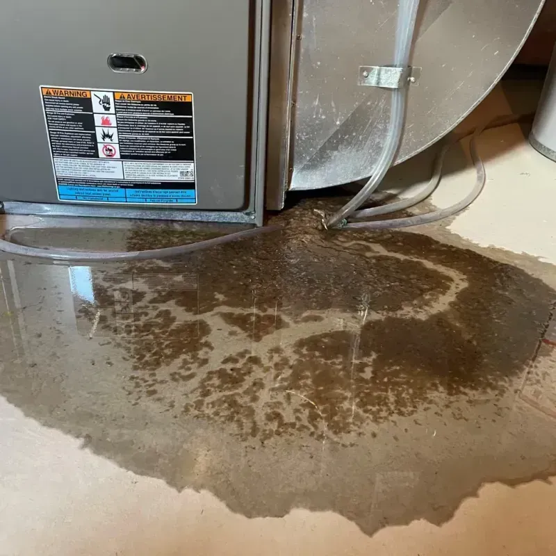 Appliance Leak Cleanup in Camp County, TX